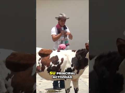 Charta Santander #turismo #cultura #gastronomia