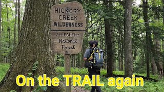Solo backpacking in the Allegheny National Forest ,first look at my new slingfin tarp [trail vlog]