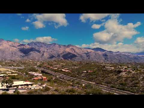 Richard A. Fisher video