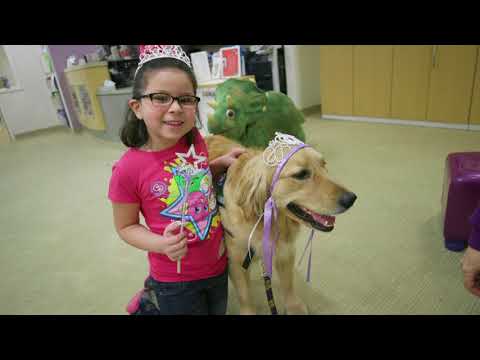 El nuevo perro: Bindi se une al equipo de perros de terapia de la Universidad de Michigan