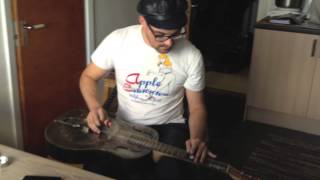 Mule Resonator Guitar   Roland Junell