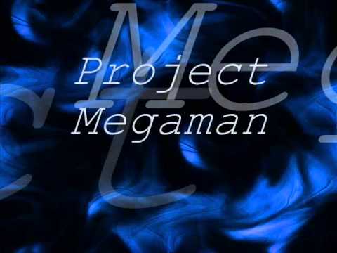 Rinileki14 - Project Megaman 2.0