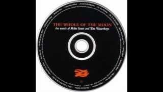 12 THE WATERBOYS   HIGHER IN TIME REAL VERSION THE WHOLE OF T