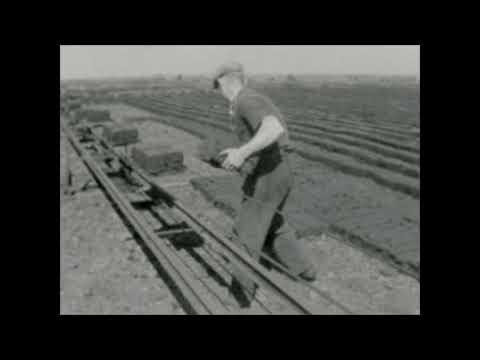 Dutch History: Peat Logging in Drenthe (1942)