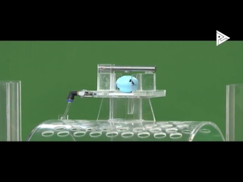 PCSO 4 PM Lotto Draw, March 18, 2018