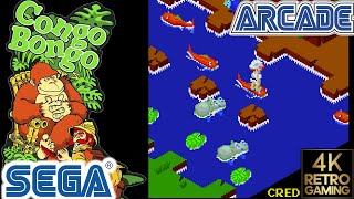 Congo Bongo Arcade ( Sega 1983 ) 4k Gameplay