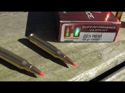 210 YARDS BALLISTICS GEL TEST:  .223 Hornady Superformance Varmint V-MAX