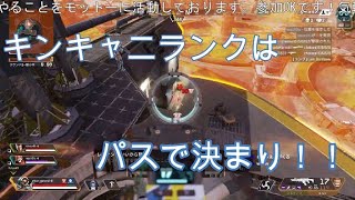 【APEX】ランクマッチは圧倒的強ポジをとって優勝せよ！！