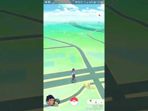 Nuove reggistrazzione e le ultime 2 uova da 10km