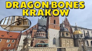Krakow Cathedral with Dragon Bones | Poland