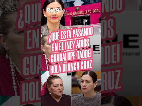 ¿Qué está pasando en el INE? 🗳️🤔