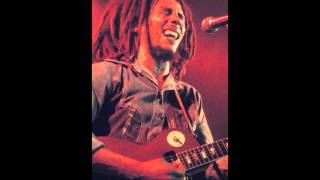 Ashley Beedle feat. Bob Marley & Peter Tosh  Get Up Stand Up  (Welcome To Jamrock  Remix)