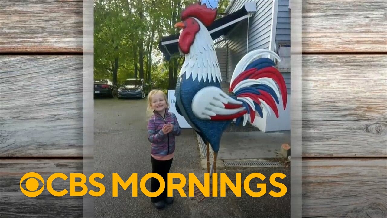 How a community rallied around a little girl and her love for roosters