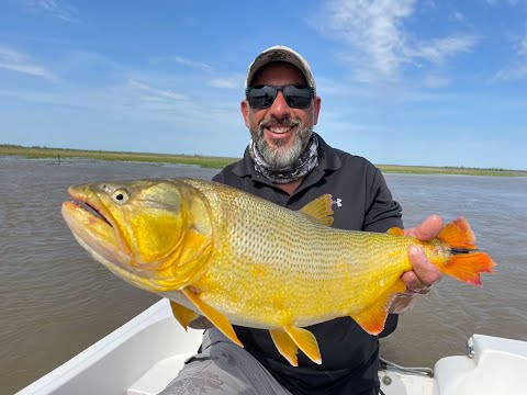 PESCAMOS DORADOS Y TARARIRAS EN SAUCE VIEJO Y 25º FIESTA DEL ARMADO ENTRERRIANO - EL PATO TV 1217