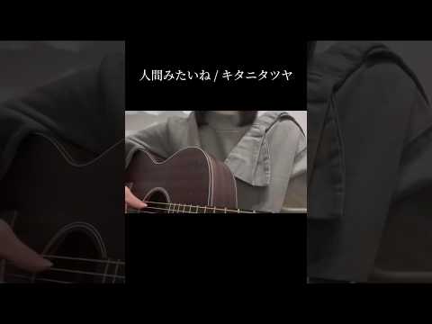人間みたいね / キタニタツヤ　2024.12.06  #弾き語り #タヌ