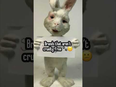 Brands that aren’t cruelty-free 🐾😕 #animaltesting #saveanimals #crueltyfree #makeup