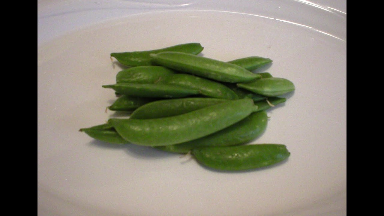 Sugar Snap Peas 101- Herbs & Spices (Revised) - YouTube