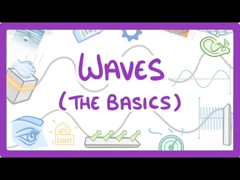 GCSE Physics - Intro to Waves - Longitudinal and Transverse Waves #61