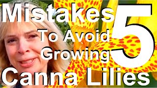 Five mistakes to Avoid When Planting and Growing Canna Lilies