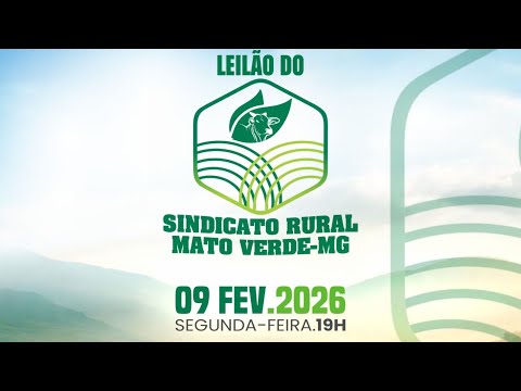 LEILÃO DO SINDICATO RURAL DE MATO VERDE