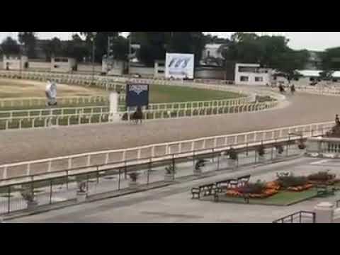 Pablo Falero en el Hipódromo de Maroñas con Olympic Harvard.