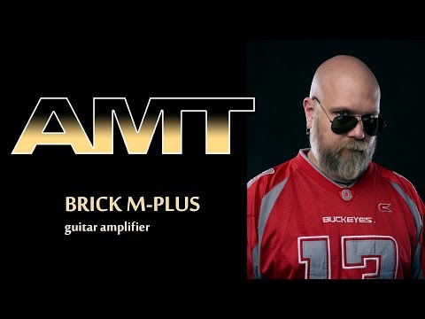 Quick Shipping!  AMT Electronics Bricks M Lead Plus Preamp image 3