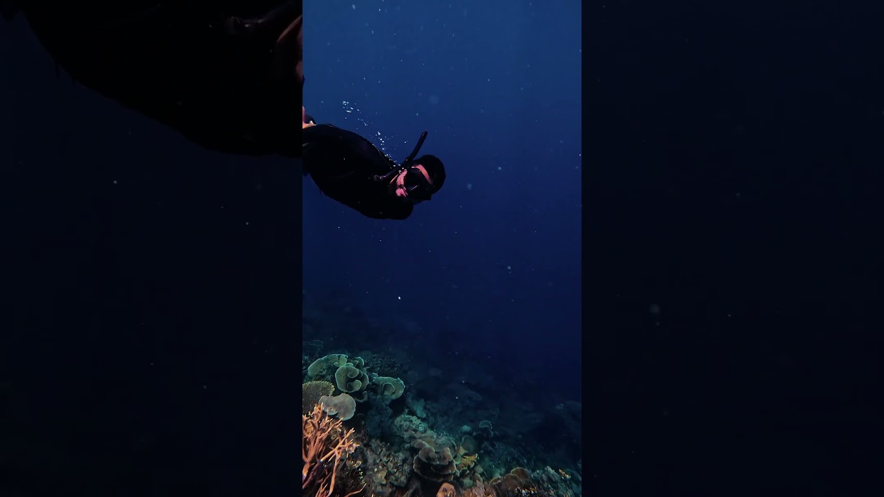 YouTube Short thumbnail