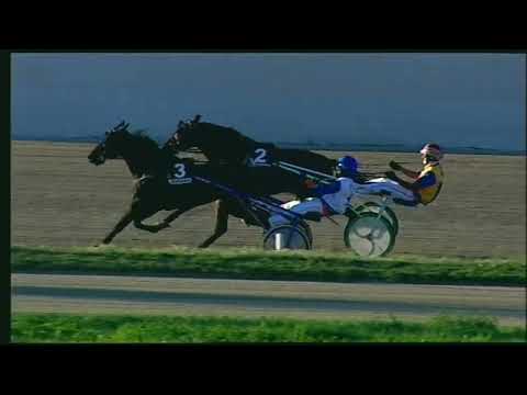 Napoli Trotto 06/11/2022 - 6ª corsa