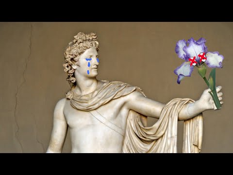 Apollo and Hyacinthus || Latin II mythology project