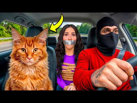 ¿QUIÉN SE ROBÓ A NUESTRO GATO?