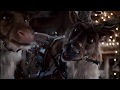 Reindeer Fart Compilation