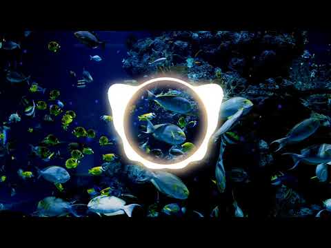 Ozuna x Doja Cat x Sia - Del Mar (nocopyrigh music )