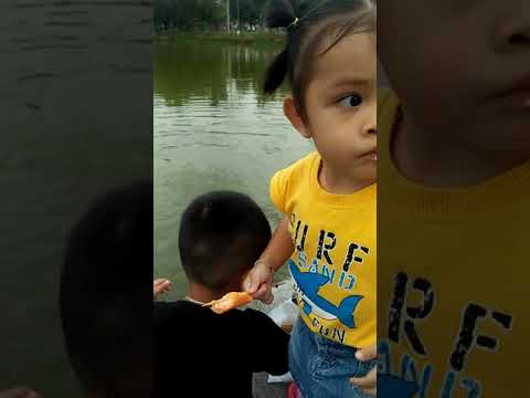 20 พฤศจิกายน 2019