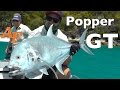 Big GT Popper Fishing James Holt Andy's Fish Video EP.283