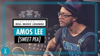 Amos Lee &quot;Sweet Pea&quot; [LIVE Performance] | Austin City Limits Radio