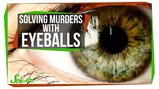 Victorian Pseudosciences: Solving Murders with Eyeballs