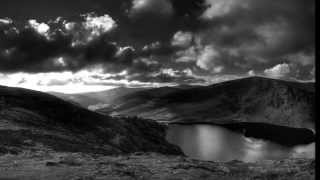 HOZIER - &quot;RUN&quot; with LYRICS