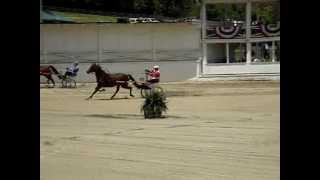 preview picture of video 'Blowing Rock Charity Horse Show - Hibriten Stables (Road Horse Cart)'