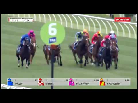 2016 DARLEY CLASSIC - Malaguerra