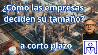 Miniatura de ¿CÓMO LAS EMPRESAS DETERMINAN SU TAMAÑO DE PLANTA ÓPTIMO A CORTO PLAZO?