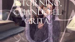 Starling - Tori Amos (Subtitulado)