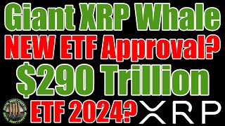 XRP Giant Whale , Ripple CEO , ETF Approvals & Crypto Surges