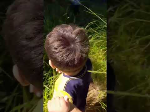 PRIMEIRA VEZ FAZENDO TRILHA E INDO NA CACHOEIRA em PASSAQUATRO   Minas Gerais #shorts #vlog #irmãos