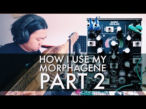 Make Noise Morphagene image 3