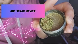 GMO Strain Review