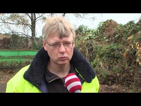 Laubentsorgung: So kompostieren die Profis