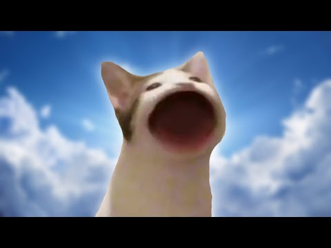 Wide Mouth Cat Posters Redbubble