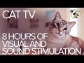 TV For Cats 8 Hours Of Visual And Sound Stimulation