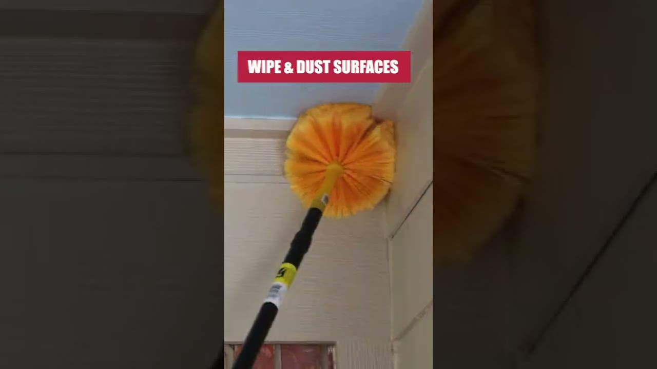 Quick Spring Cleaning Tips to Keep Pests Away!