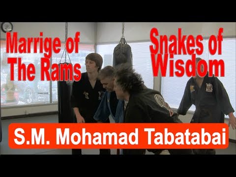 Marrige of the Rams and Snakes of Wisdom - Mohamad Tabatabai - American Kenpo Jiu Jitsu